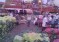 Oddanchatram Vegetable Market Latest Album Collection