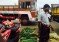 MV Bharathi Vegetables, Oddanchatram Market