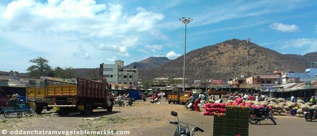 oddanchatram vegetable market (3)